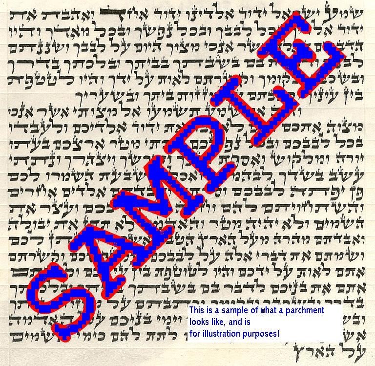 Mezuzah Parchment Scroll Sefardi 12cm by Rabbi Veknin - The Judaica Place